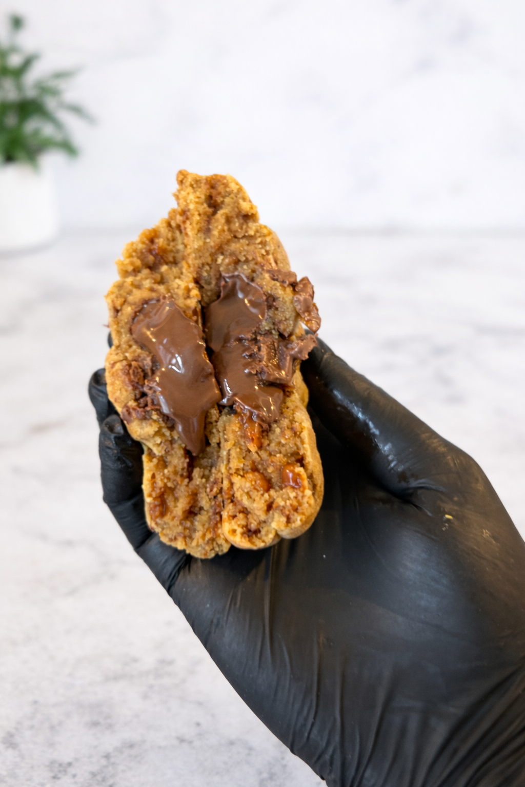 Daimella – Image 2